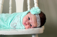 Hale Newborn ~ Fitchburg, WI Newborn and Family Photography